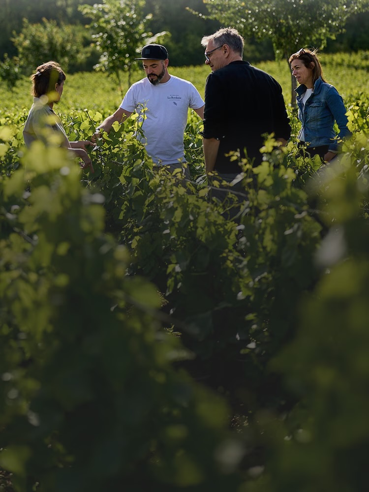 Weinhändler des Jahres Weinhändler des Jahres