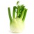 Fenchel Fenchel