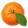 Mandarine