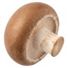 Pilze