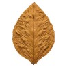 Tabak