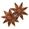 Sternanis