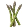 Spargel