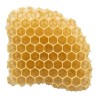 Bienenwachs