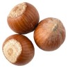 Haselnuss