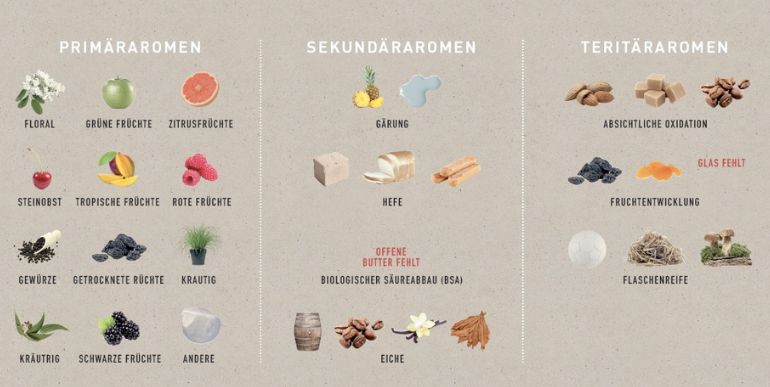 Wein verkosten wie die Profis