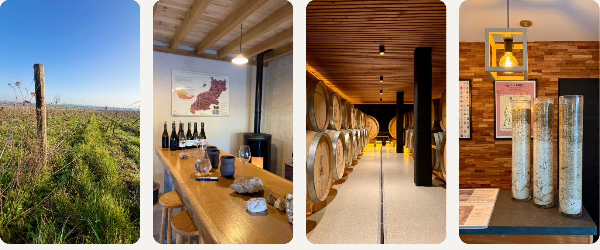 Champagne Frühjahr 2026