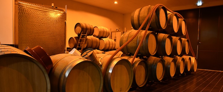 Magazin Champagne Frühjahr 2026