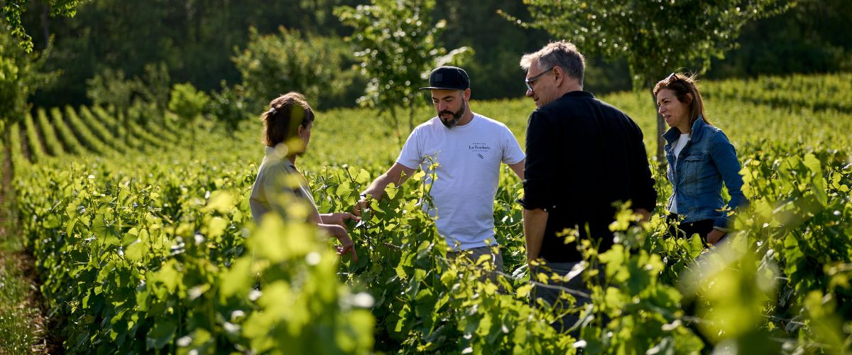 Aktuelle Entwicklung in der Champagne
