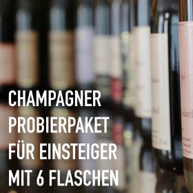 Champagner für Einsteiger - 6 Flaschen 0,75 ltr. mit detaillierten Beschreibungen Champagner für Einsteiger - 6 Flaschen 0,75 ltr. mit detaillierten Beschreibungen