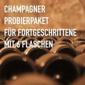 Champagner für Fortgeschrittene - 6 Flaschen 0,75 ltr. mit detaillierten Beschreibungen Champagner für Fortgeschrittene - 6 Flaschen 0,75 ltr. mit detaillierten Beschreibungen