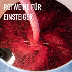 Rotweine für Einsteiger - 6 Flaschen 0,75 ltr. mit detaillierten Beschreibungen Rotweine für Einsteiger - 6 Flaschen 0,75 ltr. mit detaillierten Beschreibungen