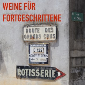 Wein für Fortgeschrittene - 6 Flaschen 0,75 ltr. mit detaillierten Beschreibungen Wein für Fortgeschrittene - 6 Flaschen 0,75 ltr. mit detaillierten Beschreibungen