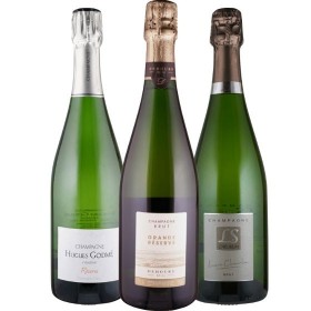 Champagner für Einsteiger - 3 Flaschen 0,75 ltr. mit detaillierten Beschreibungen Champagner für Einsteiger - 3 Flaschen 0,75 ltr. mit detaillierten Beschreibungen