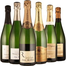 Winzerchampagner - 6 Flaschen 0,75 ltr. mit detaillierten Beschreibungen Winzerchampagner - 6 Flaschen 0,75 ltr. mit detaillierten Beschreibungen