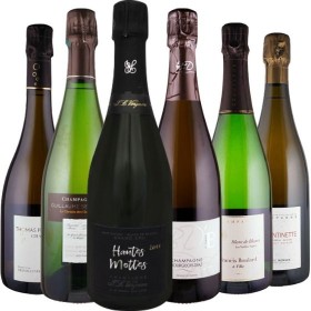 Winzerchampagner at its best! - 6 Flaschen 0,75 ltr. mit detaillierten Beschreibungen Winzerchampagner at its best! - 6 Flaschen 0,75 ltr. mit detaillierten Beschreibungen