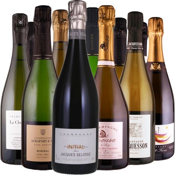 Selosse & Co. - die neue Champagner Elite - 12 Flaschen 0,75 ltr. Selosse & Co. - die neue Champagner Elite - 12 Flaschen 0,75 ltr.