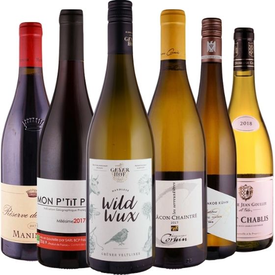Das Bioweinpaket - 6 Flaschen 0,75 ltr. mit detaillierten Beschreibungen Das Bioweinpaket - 6 Flaschen 0,75 ltr. mit detaillierten Beschreibungen