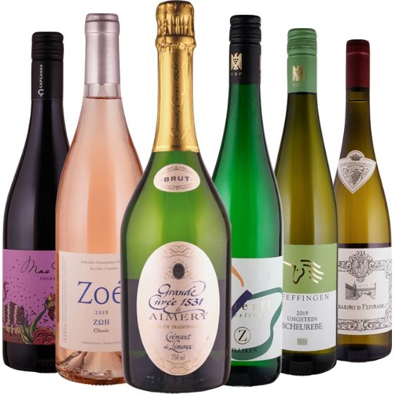 Das Weinpaket für den perfekten Mädelsabend! - 6 Flaschen 0,75 ltr. mit detaillierten Beschreibungen Das Weinpaket für den perfekten Mädelsabend! - 6 Flaschen 0,75 ltr. mit detaillierten Beschreibungen