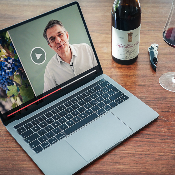 Weintraining - Der Wein Video Kurs inkl. 6 Flaschen Wein