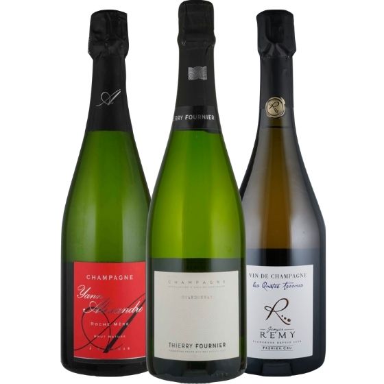 Neues aus der Champagne! - 3 Flaschen 0,75 ltr. mit detaillierten Beschreibungen Neues aus der Champagne! - 3 Flaschen 0,75 ltr. mit detaillierten Beschreibungen
