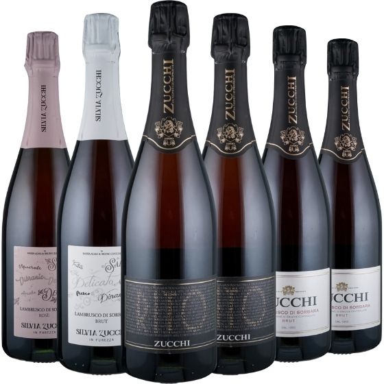 Lambrusco? Oh ja! - 6 Flaschen 0,75 ltr. mit detaillierten Beschreibungen Lambrusco? Oh ja! - 6 Flaschen 0,75 ltr. mit detaillierten Beschreibungen