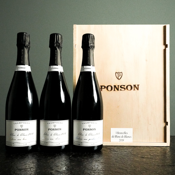 Ponson Champagner Experiment: Einfluss von Edelstahl, Barrique & Porzellan