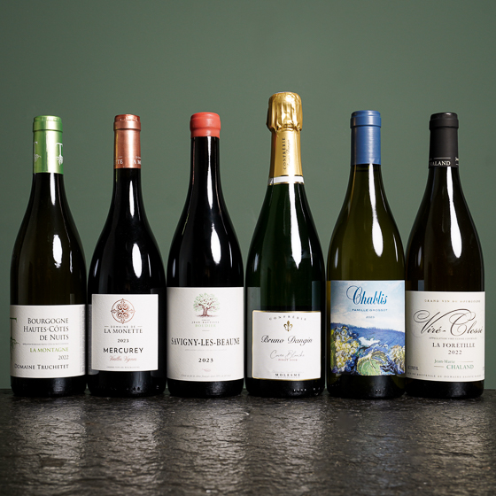 6er Neuheiten aus dem Burgund