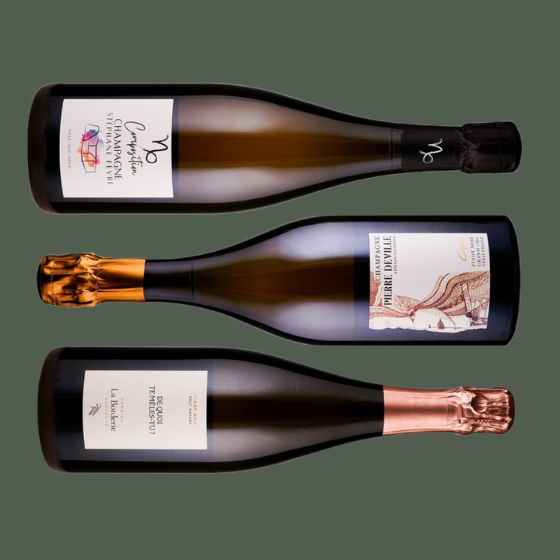 Champagner Blanc de Noirs aus Pinot Noir - 3 Flaschen 0,75 ltr.