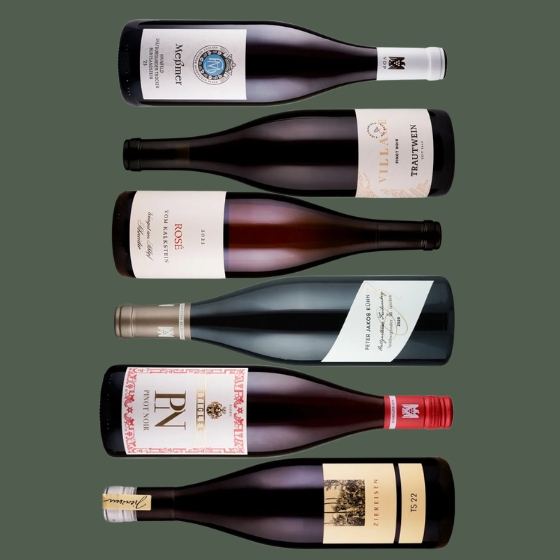Spätburgunder aus Deutschland – 6er Paket 