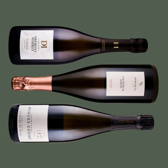 Champagner zum Internationalen Pinot-Noir-Tag - 3 Flaschen 0,75 ltr.