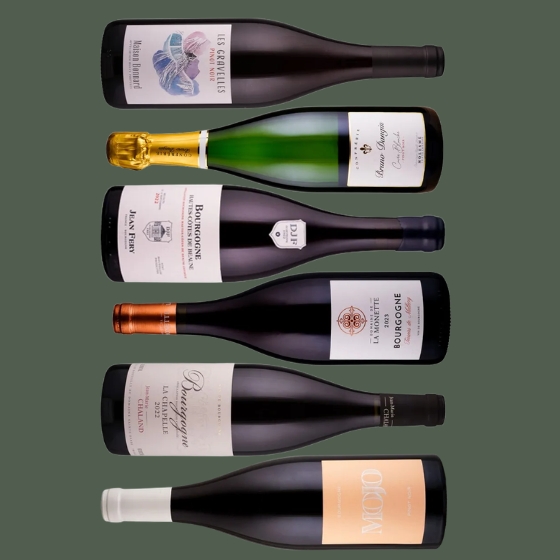 Pinot Noir aus Frankreich – 6er Paket 
