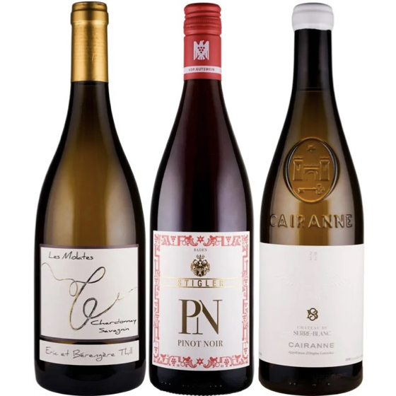 Weinabo Edition 31