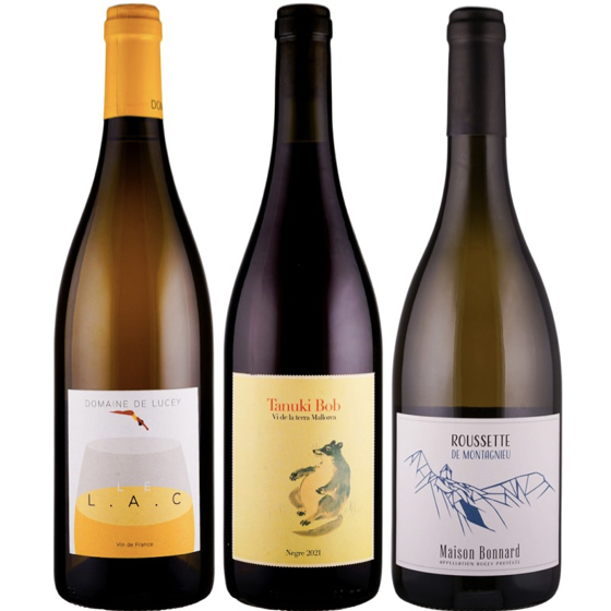 Weinabo Edition 25