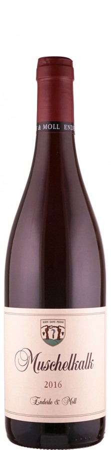 Weingut Enderle & Moll Pinot Noir Muschelkalk 2016 trocken Baden Deutschland Weingut Enderle & Moll Pinot Noir Muschelkalk 2016 trocken Baden Deutschland