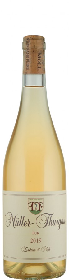 Müller-Thurgau trocken "pur" 2019 - Enderle & Moll Müller-Thurgau trocken "pur" 2019 - Enderle & Moll