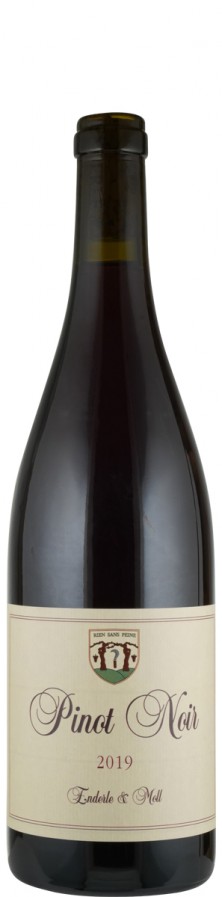 Pinot Noir "Basis" 2019 - Enderle & Moll Pinot Noir "Basis" 2019 - Enderle & Moll