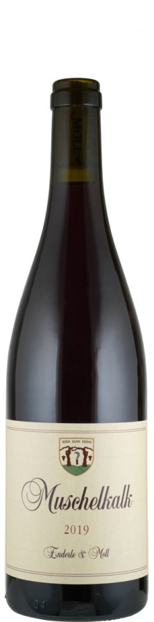 Pinot Noir "Muschelkalk" 2019 - Enderle & Moll Pinot Noir "Muschelkalk" 2019 - Enderle & Moll
