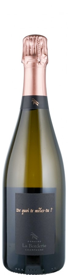 Champagne Blanc de Noirs brut nature De quoi te mêles-tu? 2020  - La Borderie