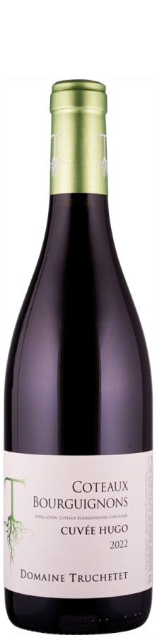 Morgan Truchetet Côteaux Bourguignons Cuvée Hugo 2022