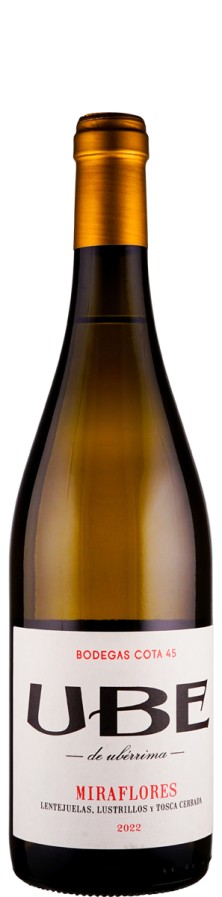 Bodegas Cota 45 UBE Miraflores 2022