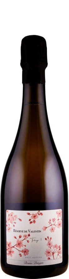 Bruno Dangin Vin de Effervescent Réserve de Valentin brut nature  Biowein - FR-BIO-01