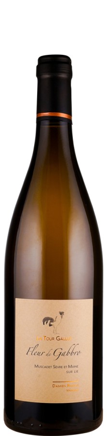 La Tour Gallus Muscadet Sèvre et Maine sur lie Fleur de Gabbro 2022