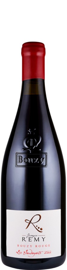 Champagne Georges Remy Coteaux Champenois Bouzy Rouge Les Vaudayants 2022