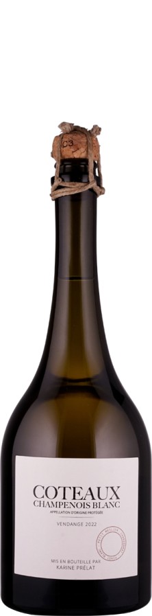 Karine Prélat Coteaux Champenois Blanc 3 Cépages 2021