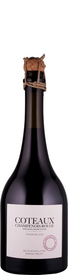 Karine Prélat Coteaux Champenois Rouge Fontaine Dieu 2022