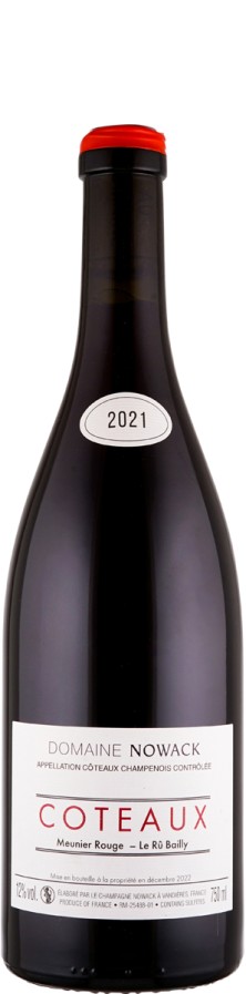 Flavien Nowack Coteaux Champenois Rouge Meunier - La Rû Bailly 2021