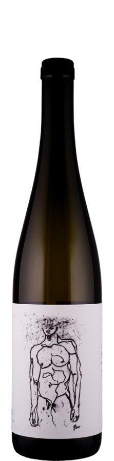 Grüner Veltliner Hofstudien 2025 Biowein - Geyerhof, Fam. Maier