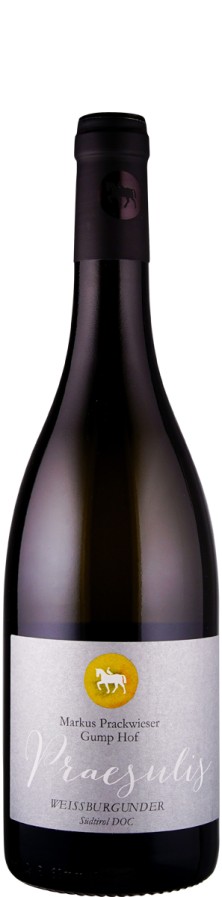 Gump Hof - Markus Prackwieser Weißburgunder Praesulis - MAGNUM 2024