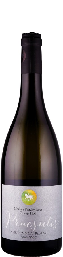 Gump Hof - Markus Prackwieser Sauvignon blanc Praesulis - MAGNUM 2023